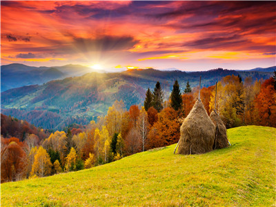 

Картина по номерам JO Y5051 40*50 см Рассвет