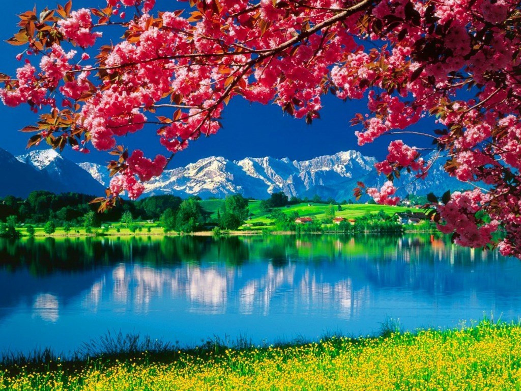 

Картина по номерам JO RA3307 40*50 см Озеро