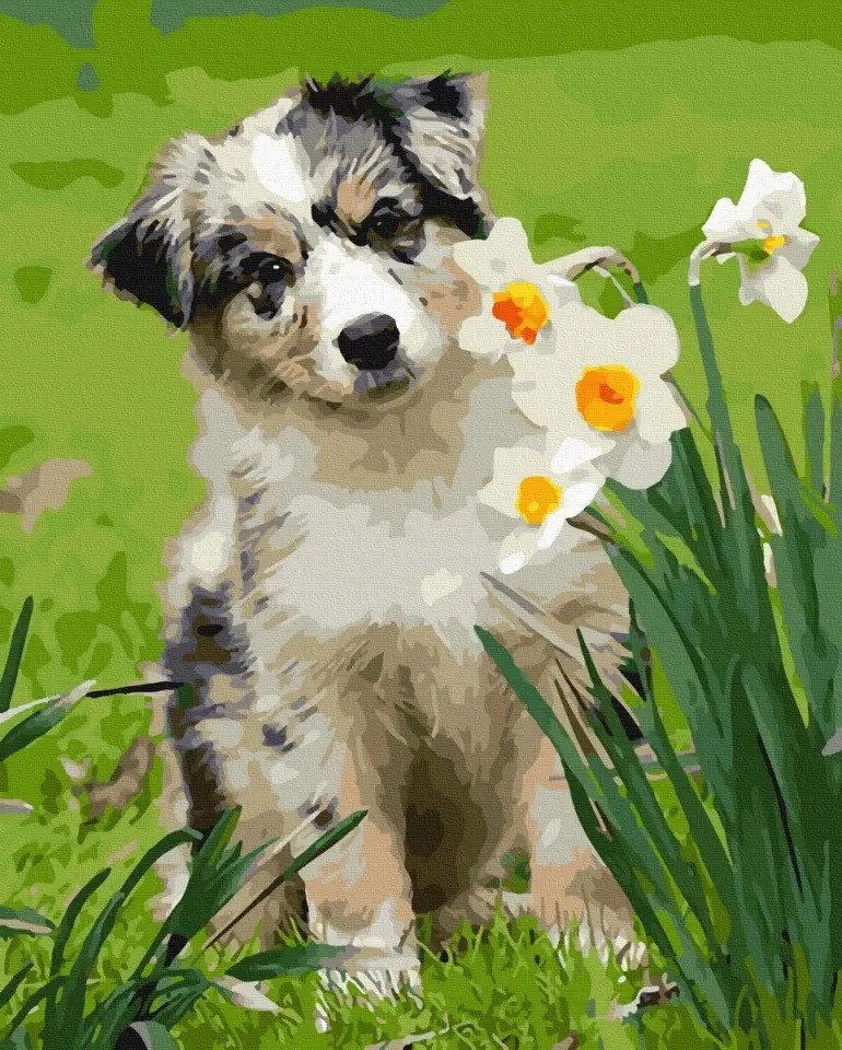 

Картина по номерам Никитошка GX41224 40*50 cм Шалунишка с нарциссами