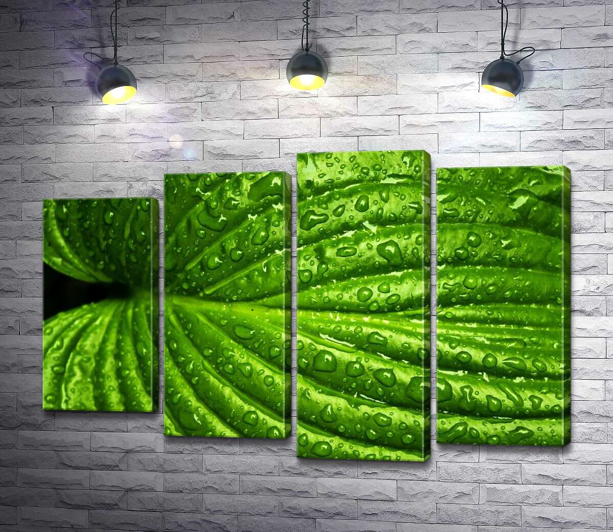 

Модульная картина ArtPoster Ярко-зеленый тропический лист в освежающих дождевых каплях 80x54 см Модуль №21