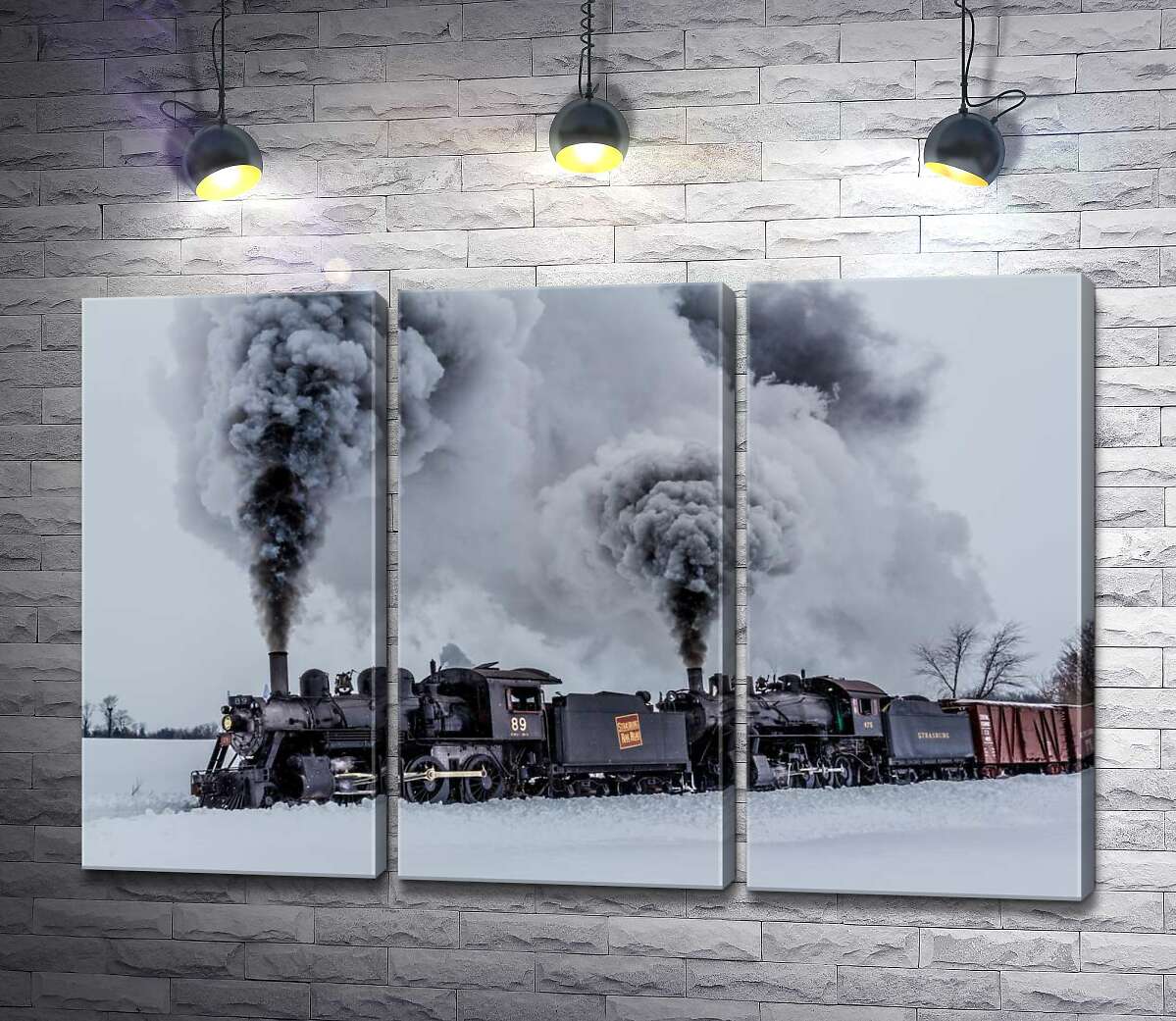 

Модульная картина ArtPoster Черное пятно паровоза на заснеженном пространстве пейзажа 60x40 см Модуль №11