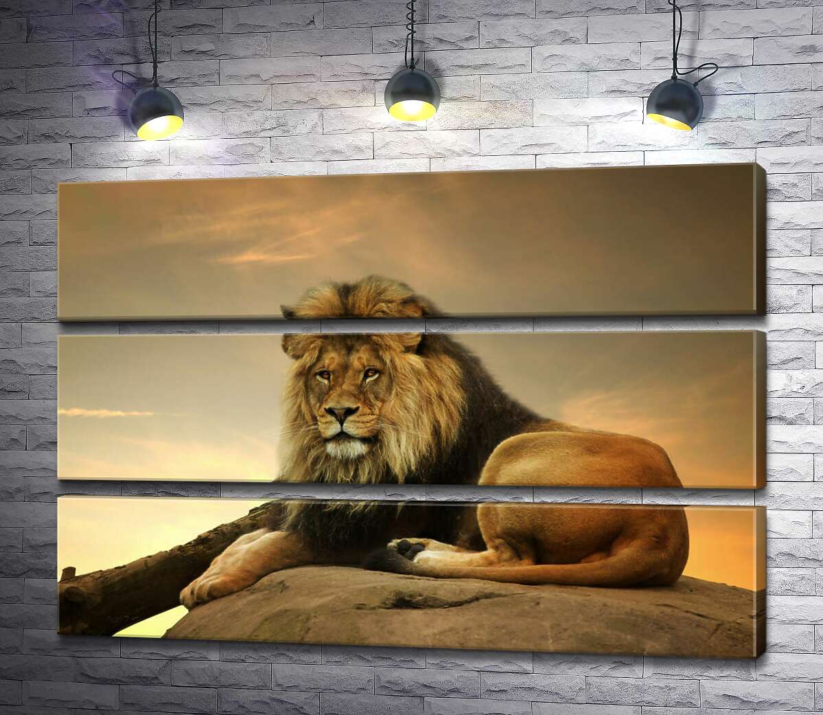 

Модульная картина ArtPoster Царь зверей: рыжий лев лежит на камне 100x69 см Модуль №13