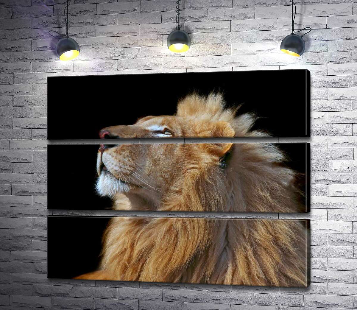 

Модульная картина ArtPoster Царственный профиль льва 75x60 см Модуль №13