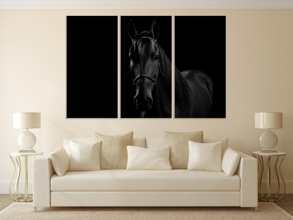 

Картина на холсте Модульные Модульная картина Sport Horse 3 картины 60х120 см.