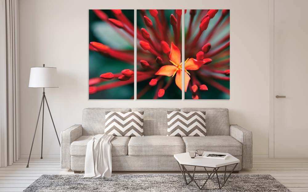 

Картина на холсте Модульные Модульная картина Red Flowers On Nature Background 3 картины 60х120 см.