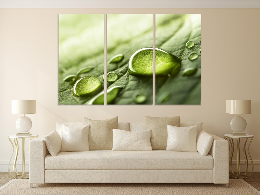 

Картина на холсте Модульные Модульная картина Raindrops On A Leaf 3 картины 60х120 см.