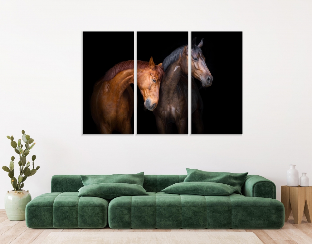 

Картина на холсте Модульные Модульная картина Horse Love 3 картины 30х60 см.