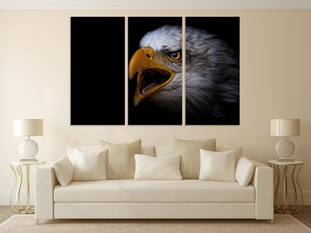 

Картина на холсте Модульные Модульная картина Bald Eagle Portrait 3 картины 25х50 см.