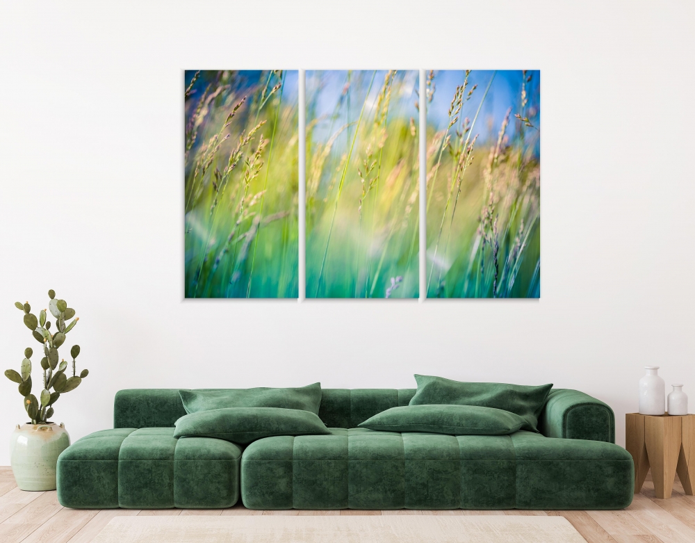 

Картина на холсте Модульные Модульная картина Meadow Flowers 3 картины 40х80 см.