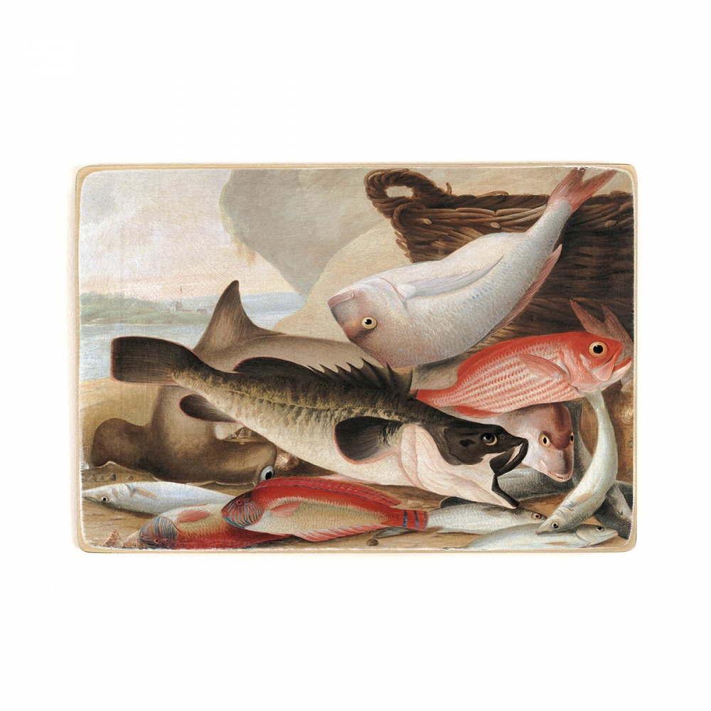 

Деревянный постер Искусство John W. Lewin - Fish catch and Dawes Point, Sydney Harbour А1