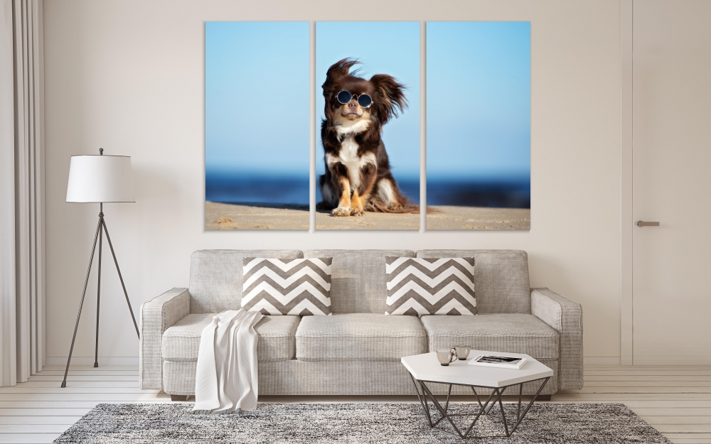 

Картина на холсте Модульные Модульная картина Dog Posing With Glasses 3 картины 45х90 см.