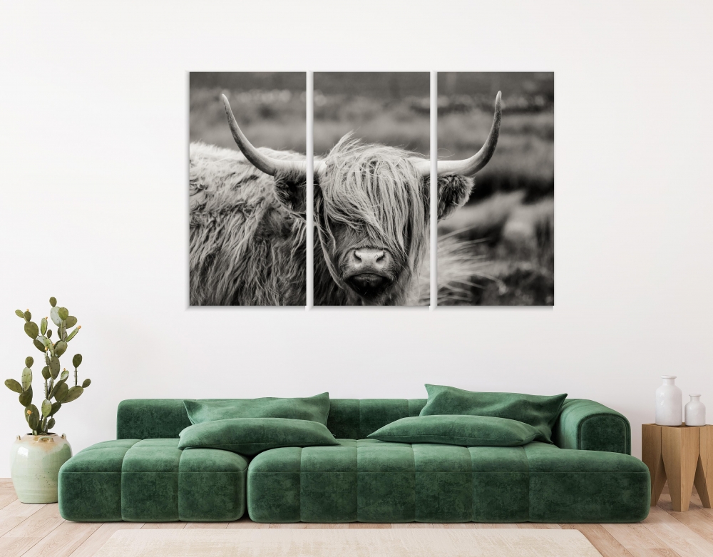 

Картина на холсте Модульные Модульная картина Scottish Highland Cow 3 картины 60х120 см.