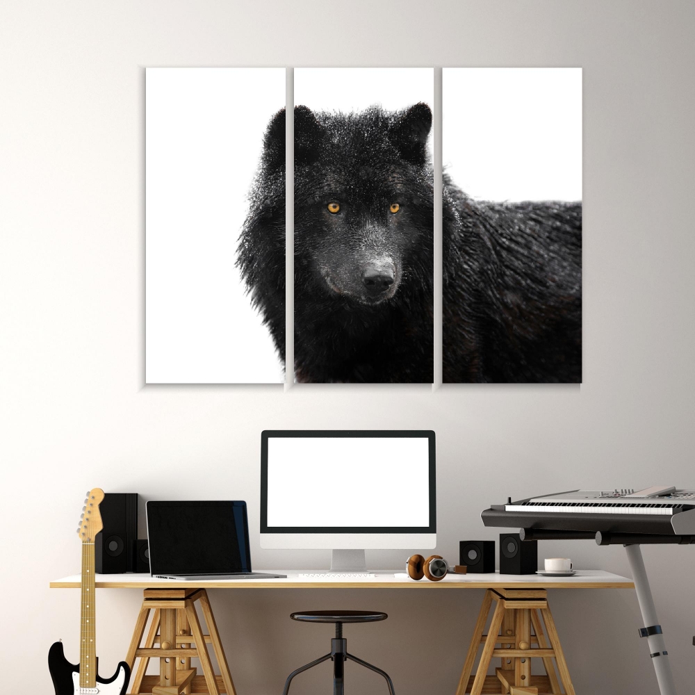 

Картина на холсте Модульные Модульная картина Портрет черного канадского волка 3 картины 60х120 см.