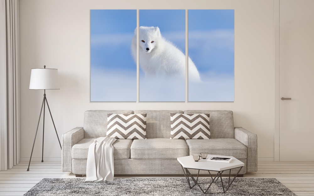 

Картина на холсте Модульные Модульная картина Arctic Fox 3 картины 25х50 см.