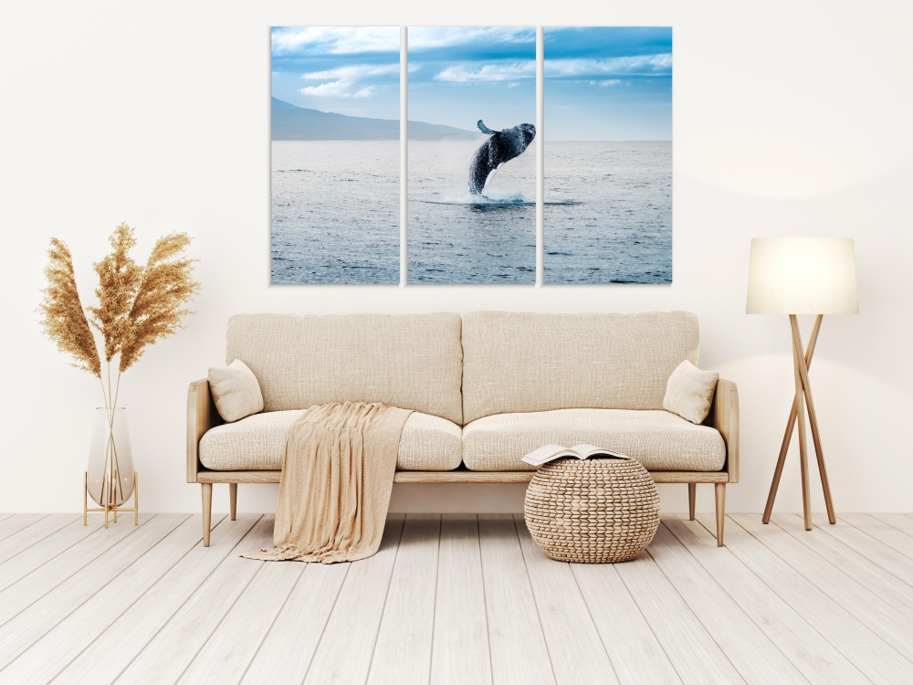 

Картина на холсте Модульные Модульная картина Whale Jump 3 картины 25х50 см.