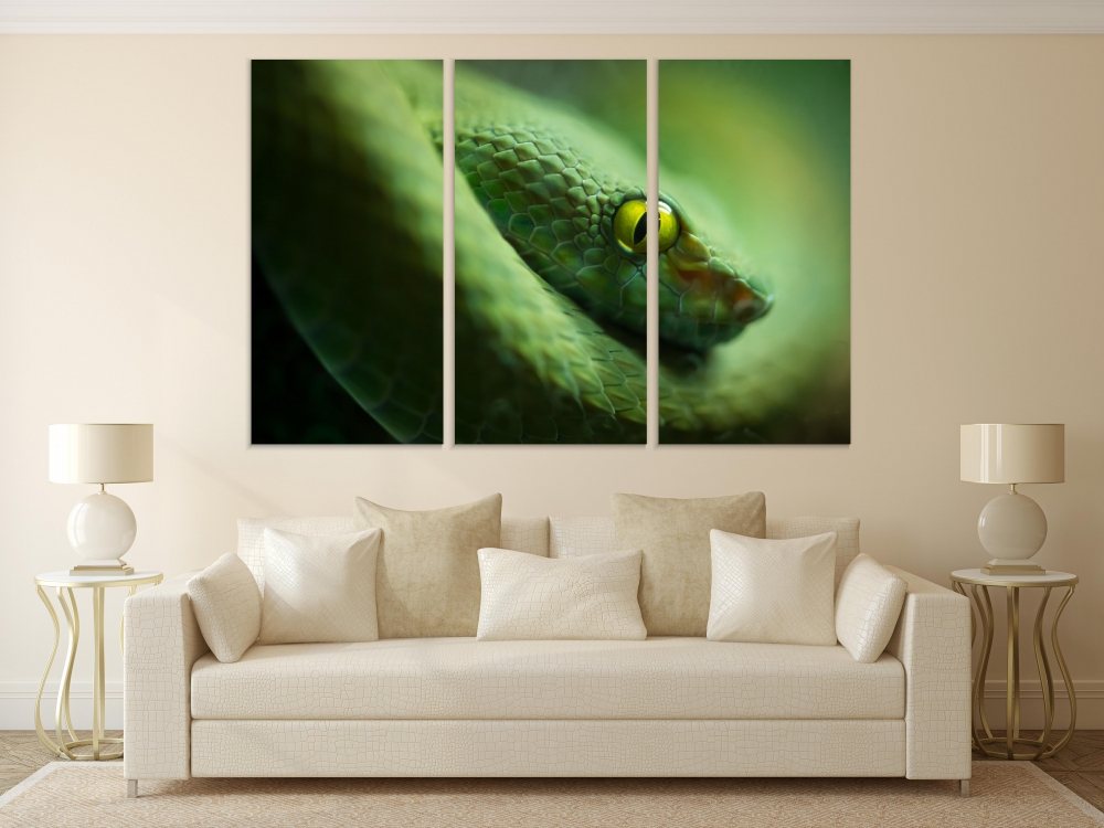 

Картина на холсте Модульные Модульная картина Green Mamba Snake 3 картины 70х140 см.