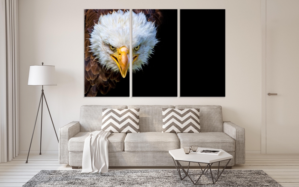 

Картина на холсте Модульные Модульная картина Bald Eagle 3 картины 60х120 см.
