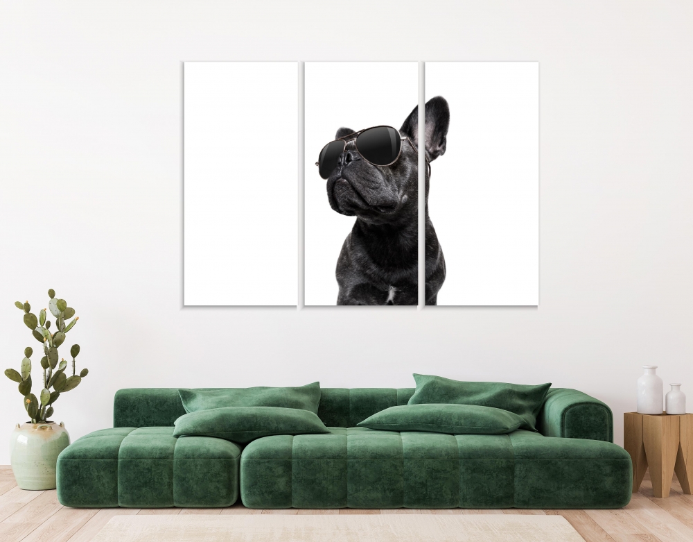 

Картина на холсте Модульные Модульная картина French Bulldog With Glasses 3 картины 60х120 см.