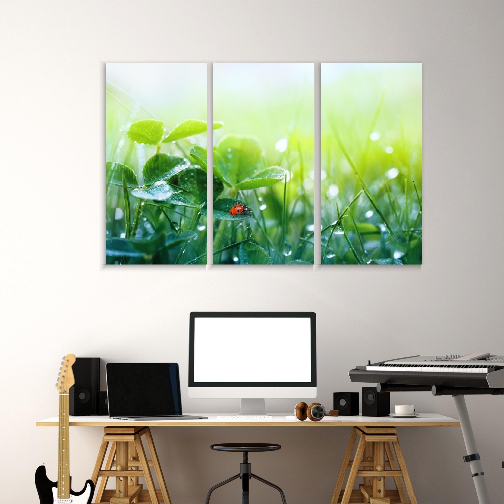 

Картина на холсте Модульные Модульная картина Morning Fresh Grass And Ladybug 3 картины 60х120 см.