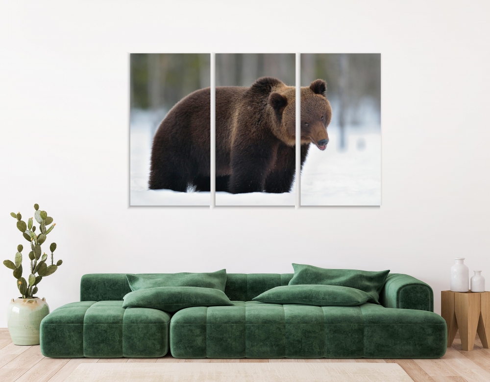 

Картина на холсте Модульные Модульная картина Бурый медведь в зимнем лесу. Ursus Arctos 3 картины 25х50 см.