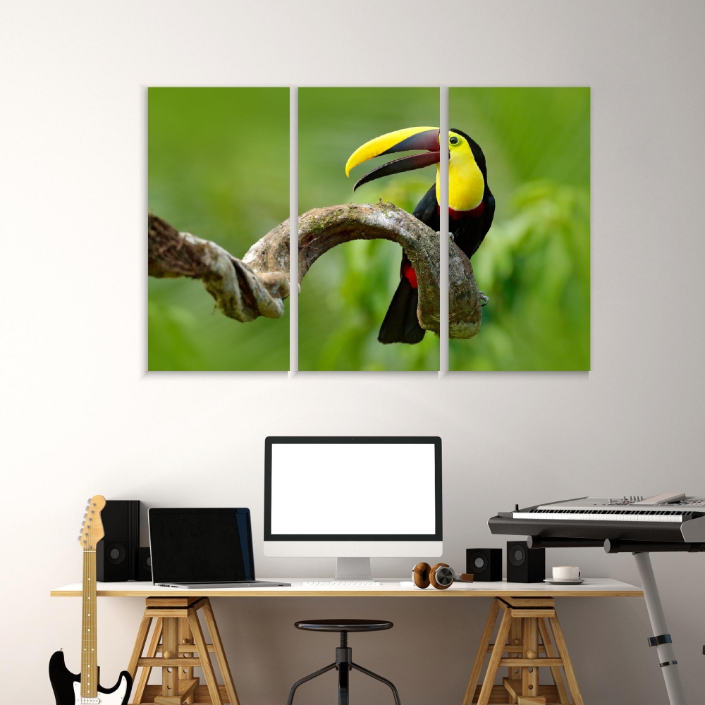 

Картина на холсте Модульные Модульная картина Toucan Sits On A Branch 3 картины 60х120 см.