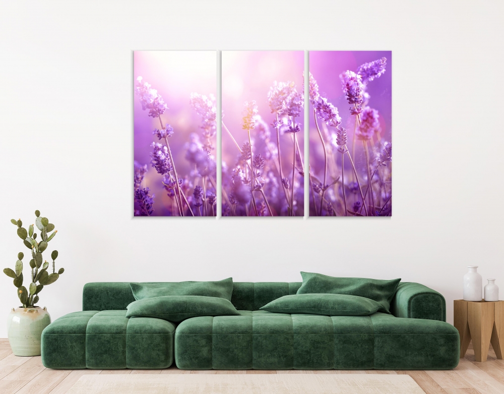 

Картина на холсте Модульные Модульная картина Lavender Field 3 картины 30х60 см.