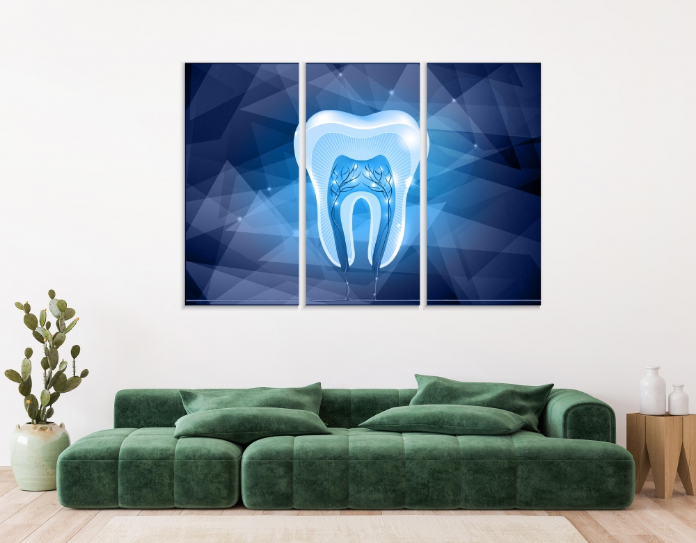 

Картина на холсте Модульные Модульная картина Tooth Cross Section 3 картины 60х120 см.