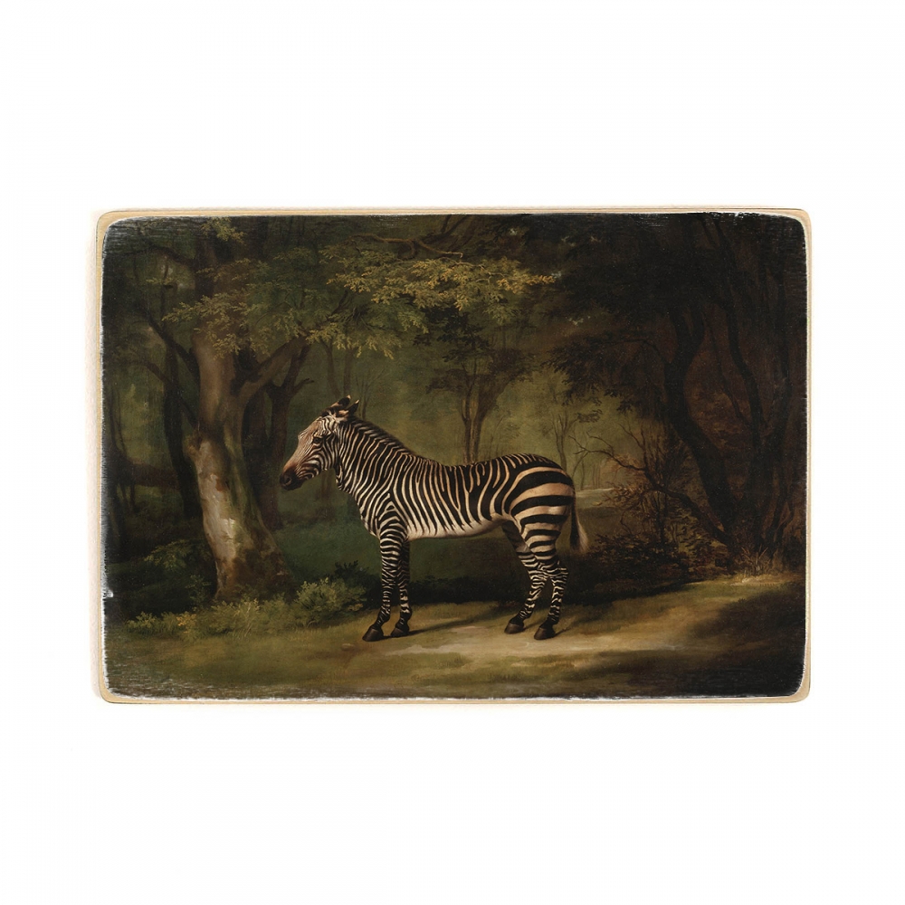 

Деревянный постер Искусство George Stubbs - Zebra А1