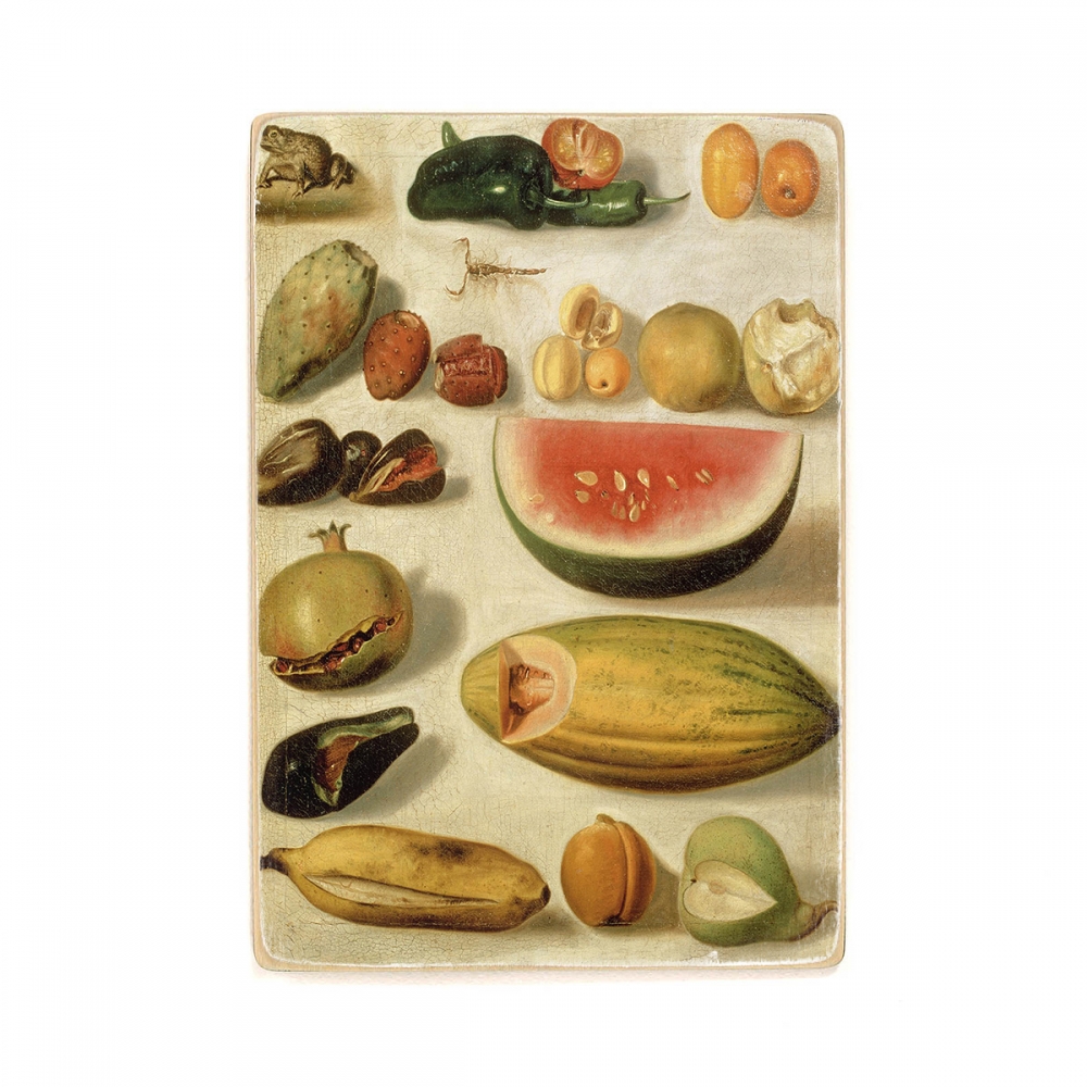

Деревянный постер Искусство Hermenegildo Bustos - Still life with fruit (with scorpion and frog) 1874 А1