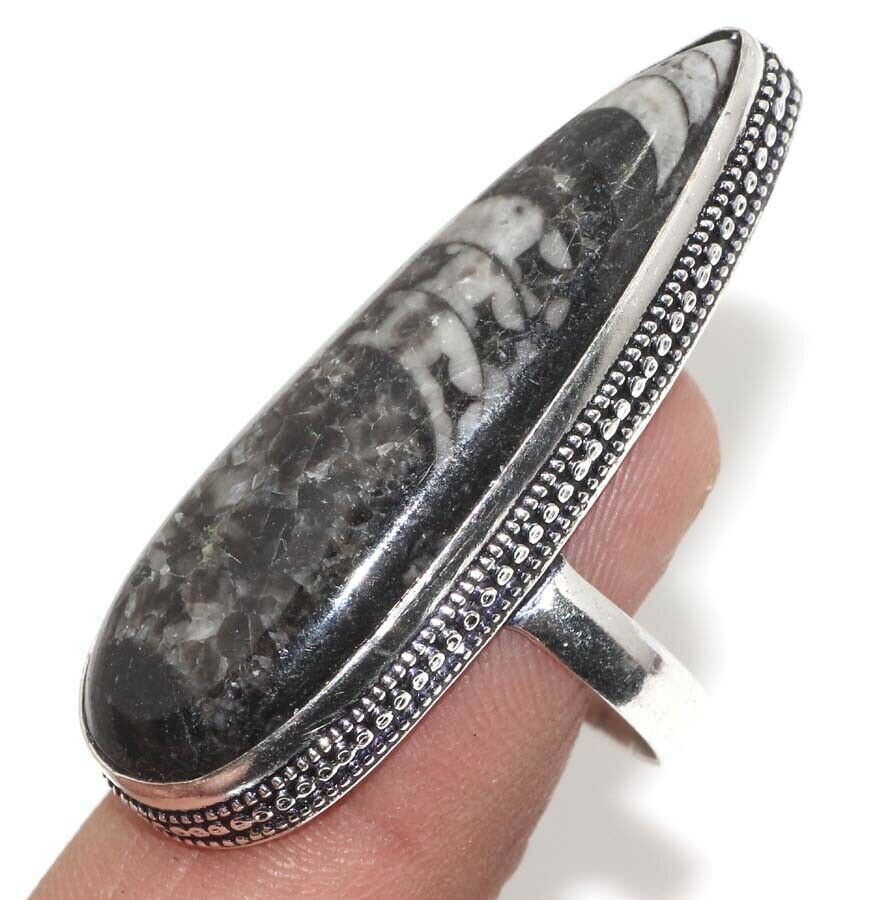 

Кольцо с камнем ортоцерас, 19 размер L25310