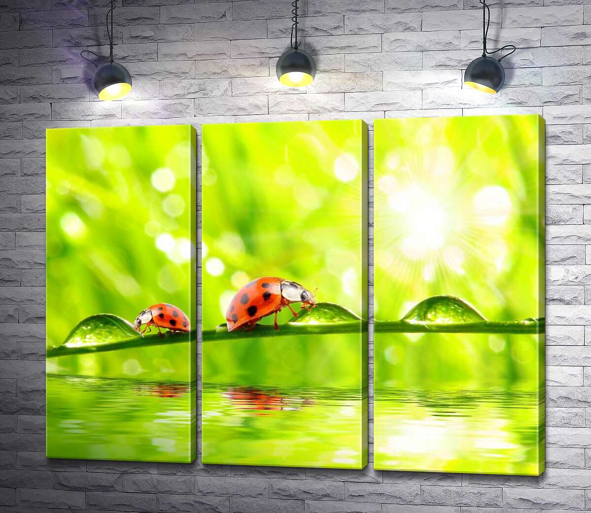 

Модульная картина ArtPoster Божьи коровки пьют из капель утренней росы 60x47 см Модуль №11