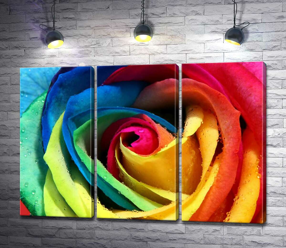 

Модульная картина ArtPoster Бутон радужной розы 102x71 см Модуль №11