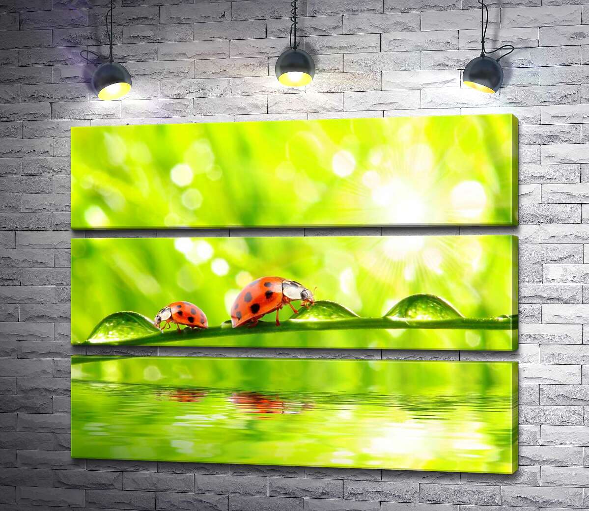 

Модульная картина ArtPoster Божьи коровки пьют из капель утренней росы 130x102 см Модуль №13