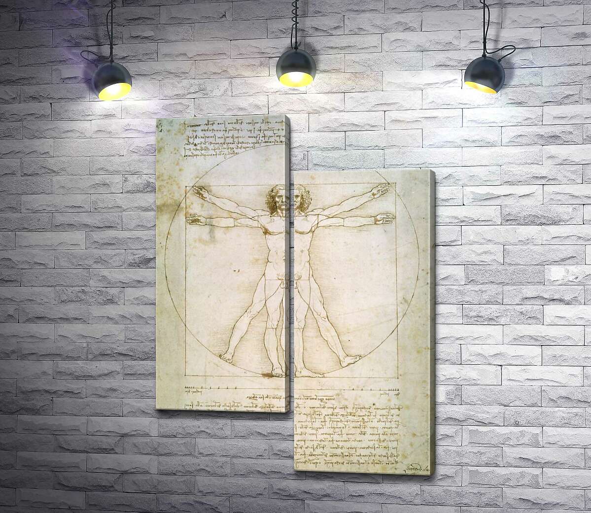 

Модульная картина ArtPoster Витрувианский человек (Homo vitruvianus) – Леонардо да Винчи (Leonardo da Vinci) 100x141 см Модуль №5