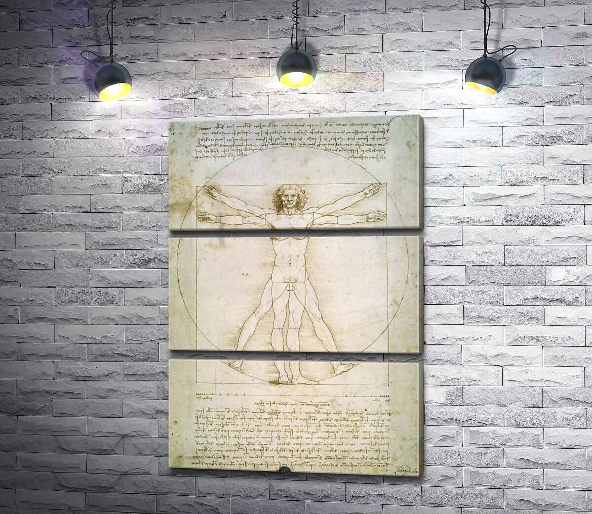 

Модульная картина ArtPoster Витрувианский человек (Homo vitruvianus) – Леонардо да Винчи (Leonardo da Vinci) 130x183 см Модуль №13