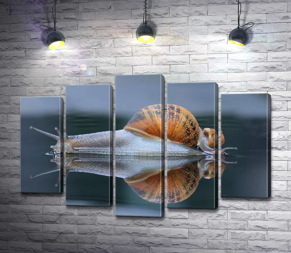 

Модульная картина ArtPoster Водянисто-прозрачные улитки после дождя 130x88 см Модуль №26