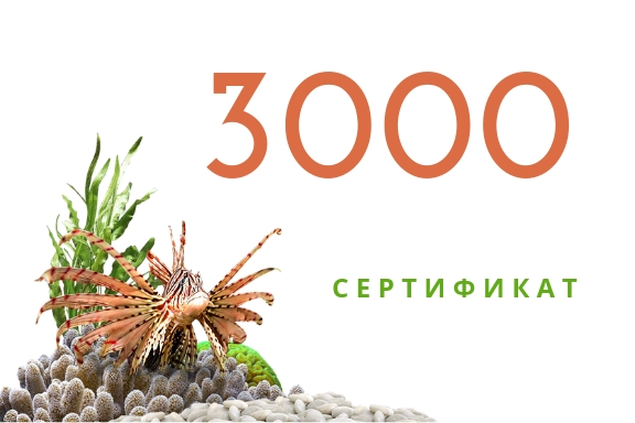 

Подарочный сертификат на 3000 грн