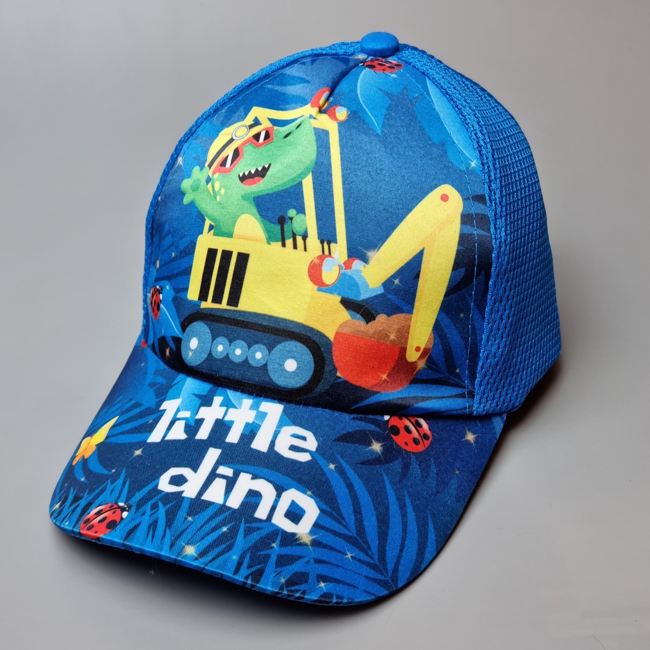 

Кепка Little Dino Fashion kids для мальчика 51-54 см Синяя 18948