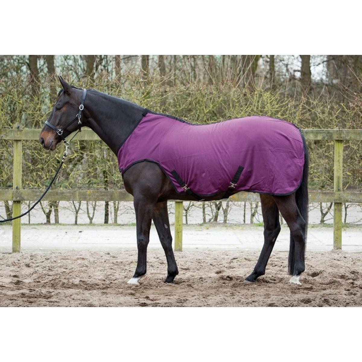 

Прогулочная попона Harrys Horse "Softshell walker" Фуксия 145