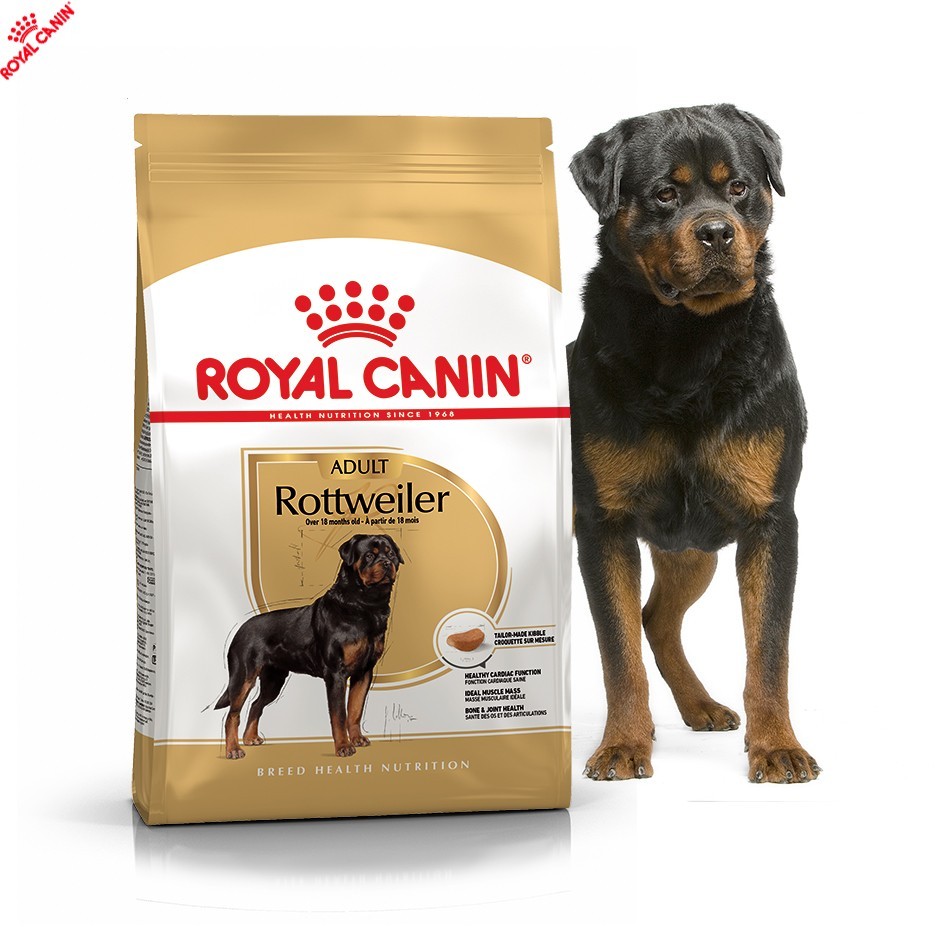 Royal canin best sale rottweiler adult