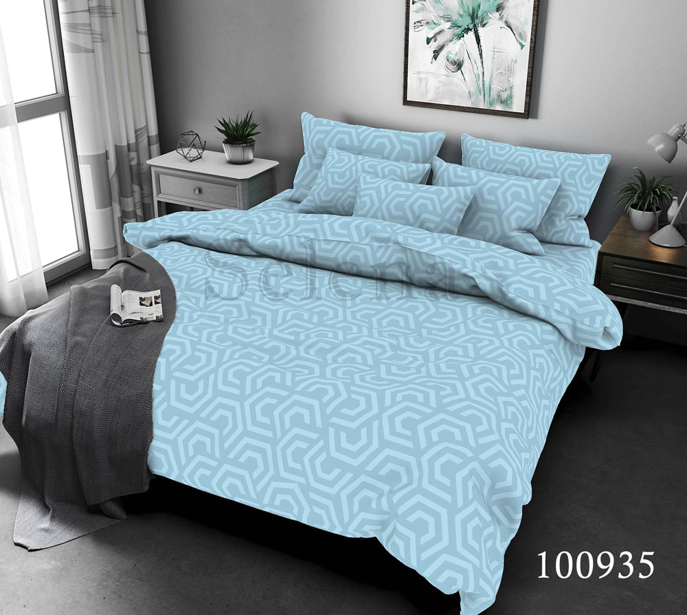 

Комплект постельного белья Selena Абстракция Голубая Бязь Люкс двуспальный 100935