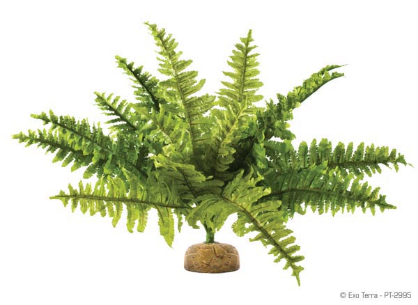 

Растение искусственное BOSTON FERN HAGEN