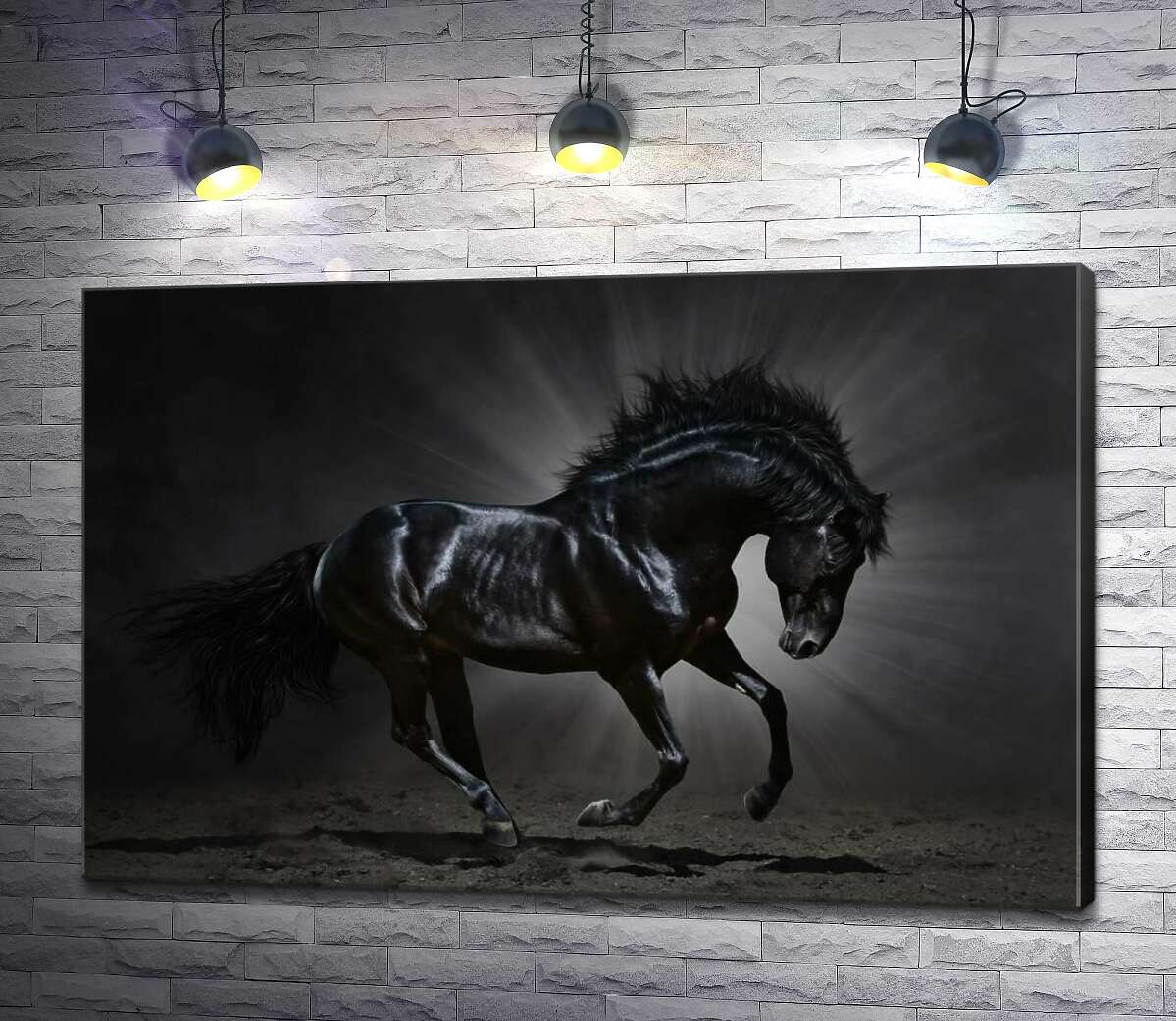 

Картина ArtPoster Сияюще-черный скакун в лучах света 100x66 см Модуль №1