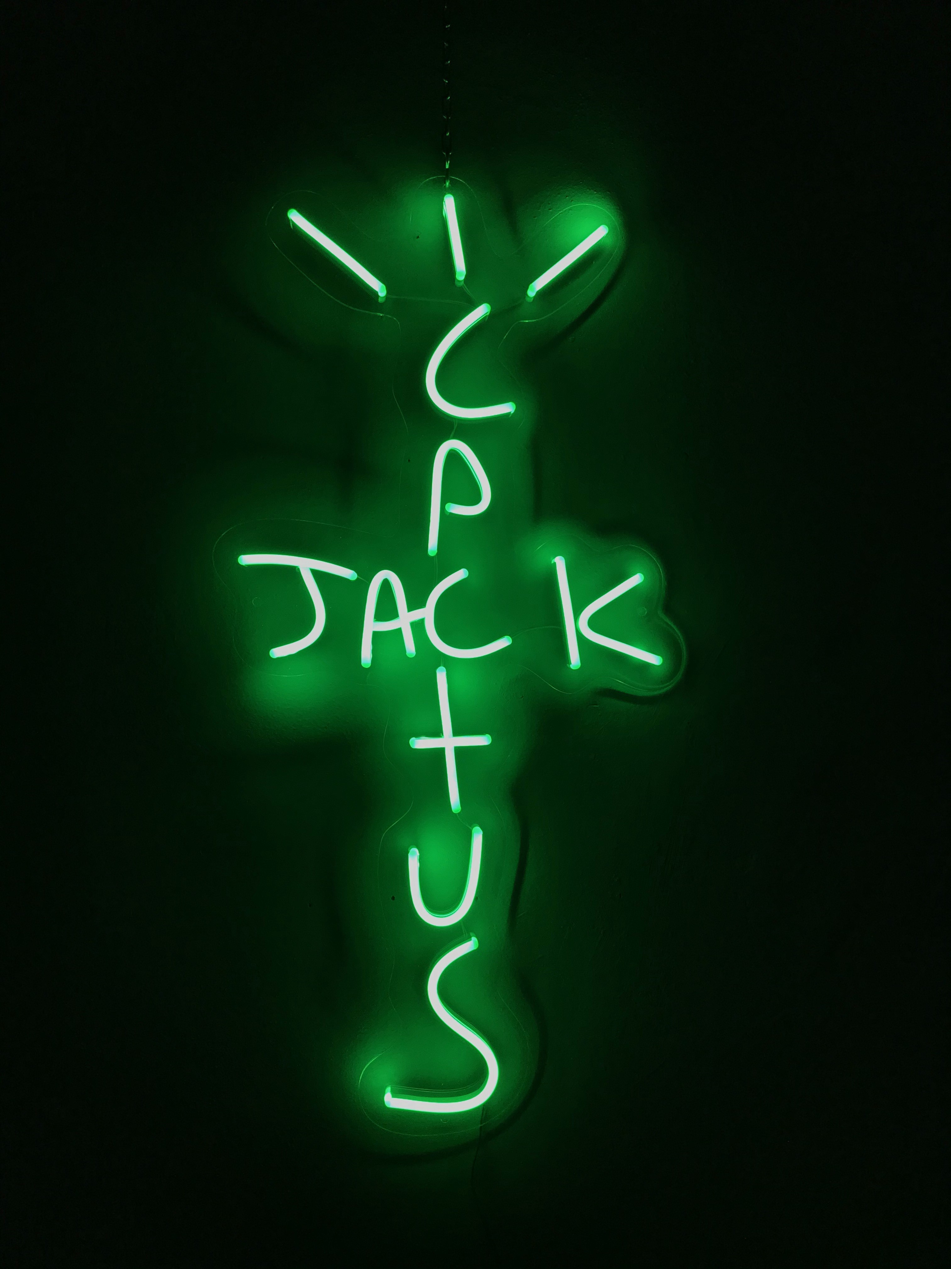 

Неоновый светильник Neon Lightning "Jack Cactus"