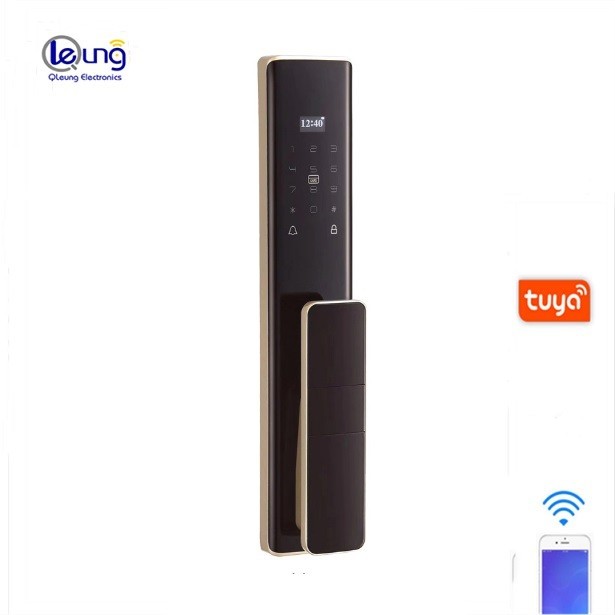 

Умный замок Qleung S912 Gold