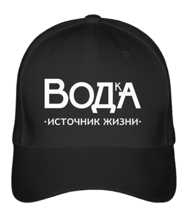 

Бейсболка (кепка) Источник жизни Черный