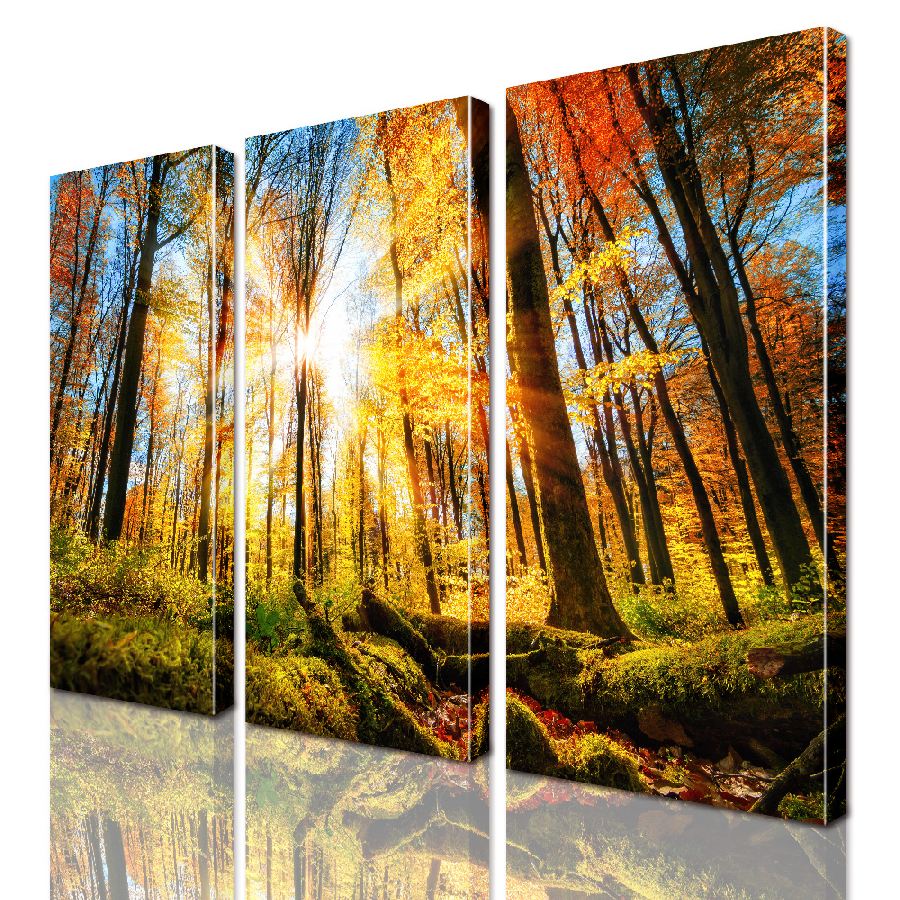 

Модульная картина ArtStar ADNA0171 размер 95 х 120 см