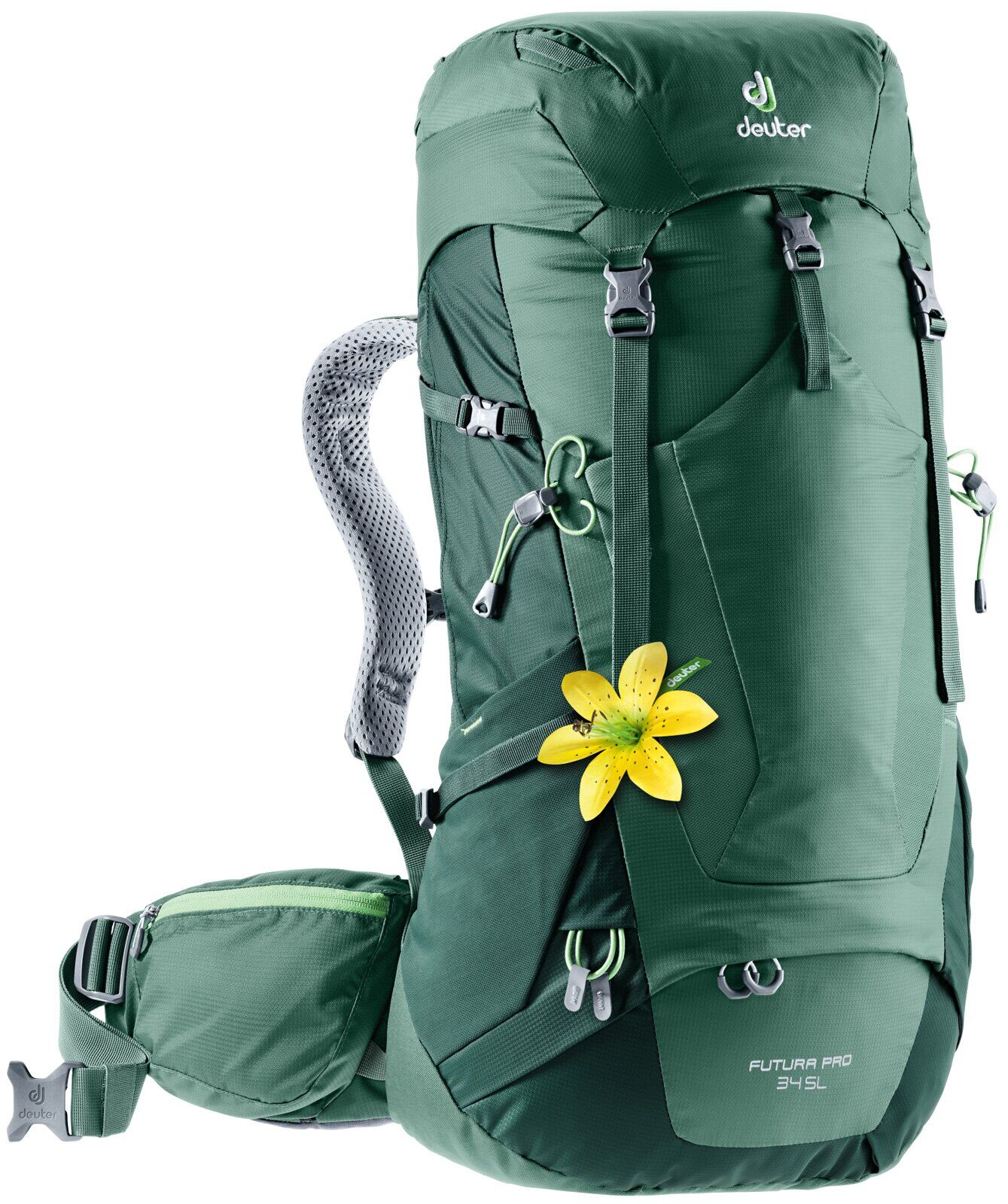 

Рюкзак Deuter Futura Pro 34 SL seagreen-forest (3401018 2247)
