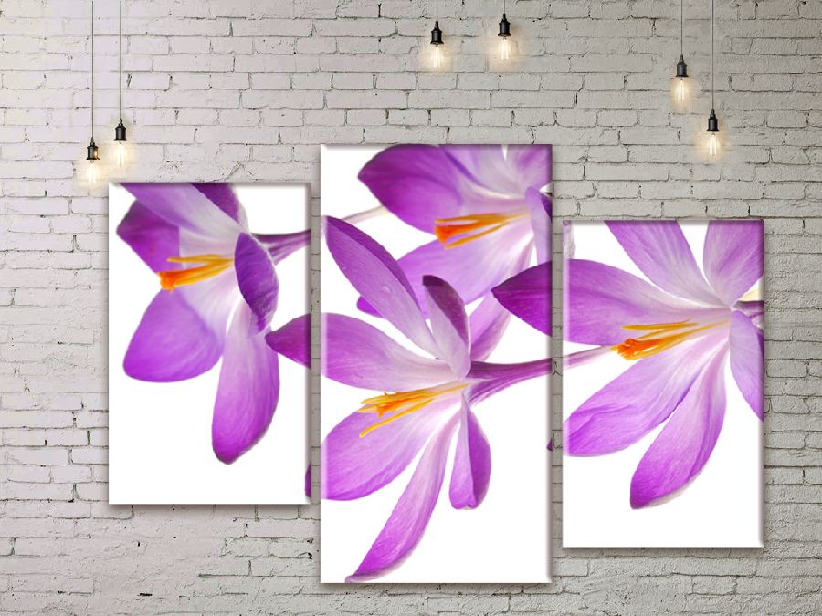 

Модульная картина ArtStar цветы Крокусы ADFL0059 размер 120 х 180 см