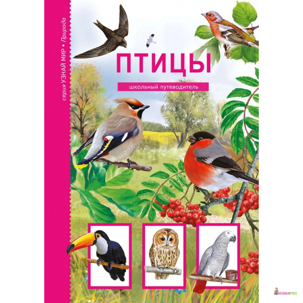 

Птицы. Школьный путеводитель - Юлия Дунаева - Тимошка - 544780